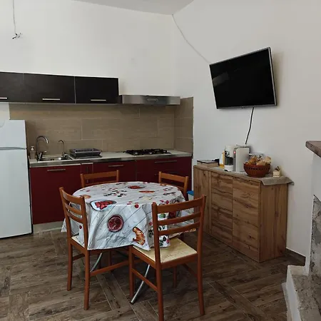 Albero Della Musica *