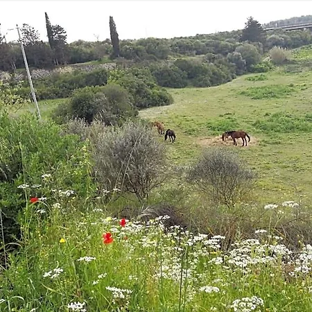 Bed & Breakfast Albero Della Musica *
