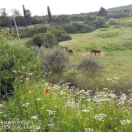 Bed & Breakfast Albero Della Musica Sassari