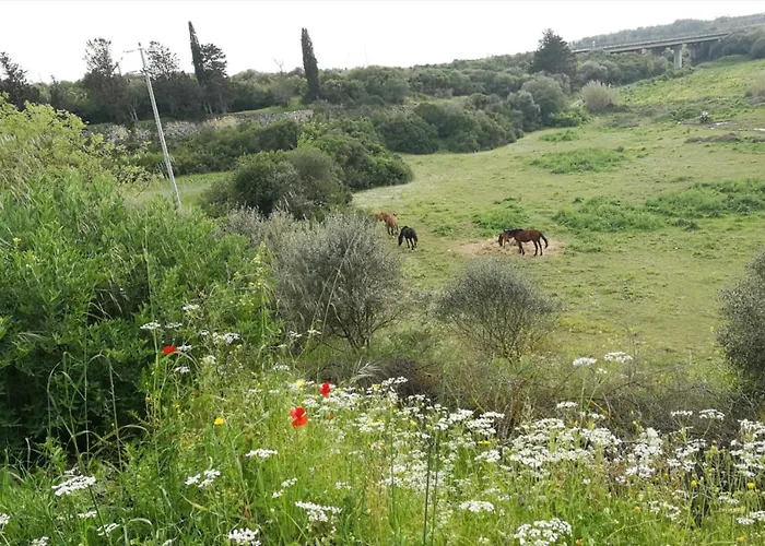 Oda ve Kahvaltı Albero Della Musica *