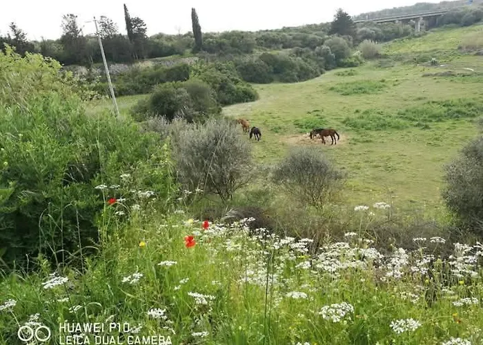 Albero Della Musica Oda ve Kahvaltı Sassari